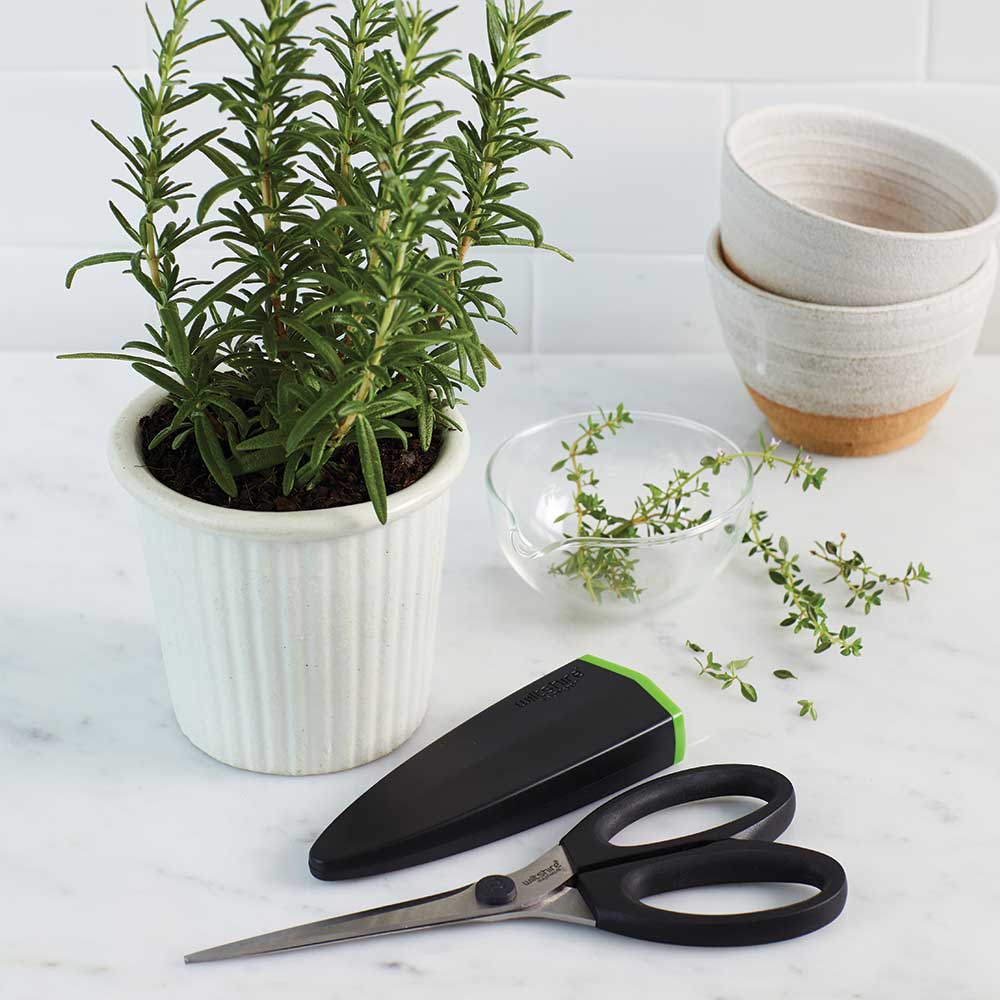 Wiltshire Staysharp Scissors