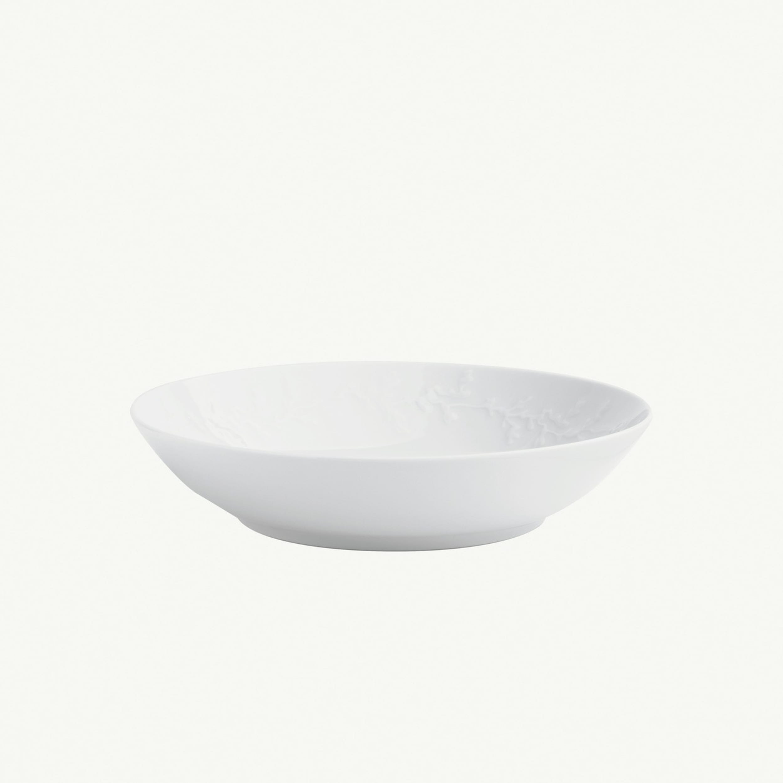 Pillivuyt Aqua 1900 Shallow Round Bowl 23cm