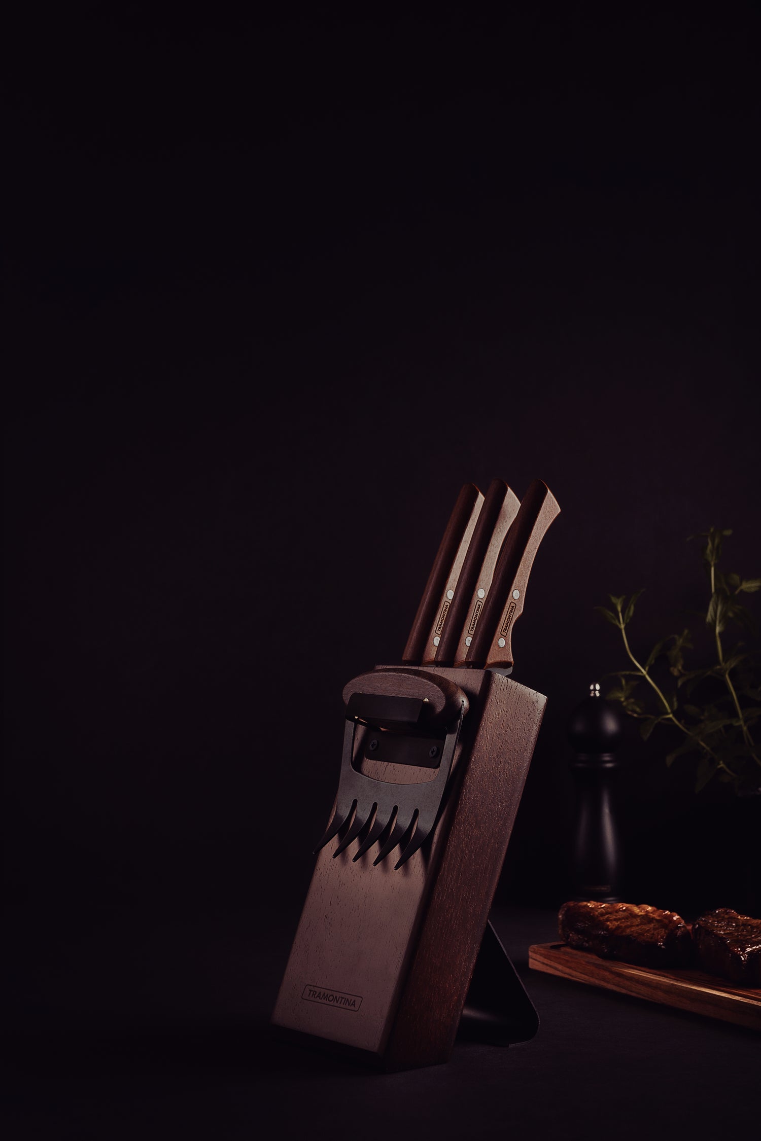 Tramontina Churrasco Black 5-Piece Barbecue Set With A Wood Block