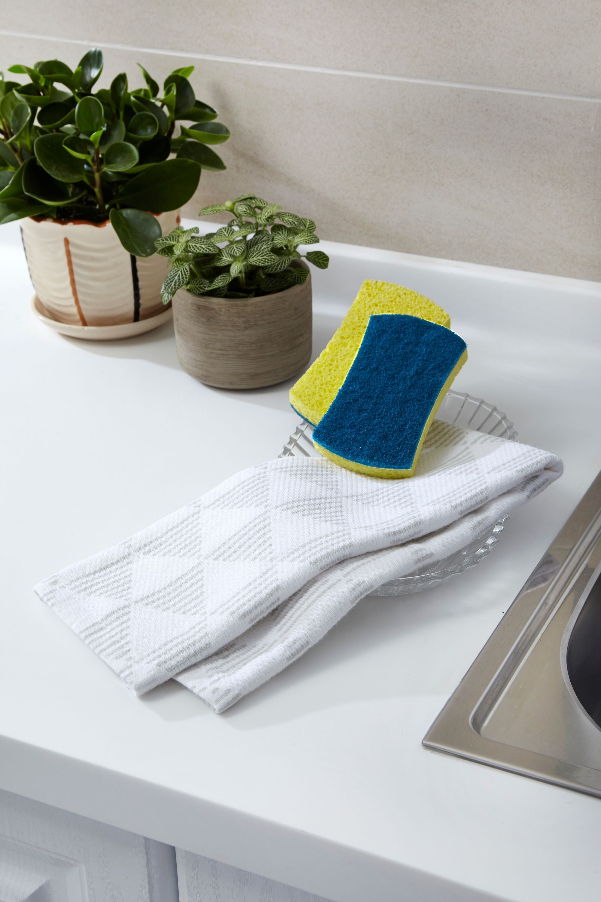 Full Circle Refresh Scrubber Sponges Set of 3