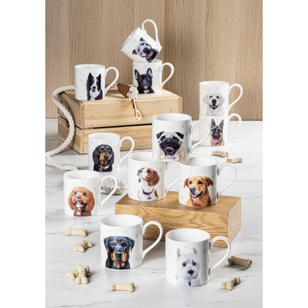 Ashdene Paws & All Border Collie Mug