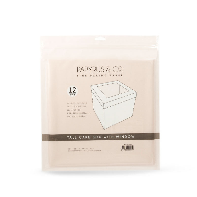 Papyrus 12in Tall Cake Box with Window Hangsell