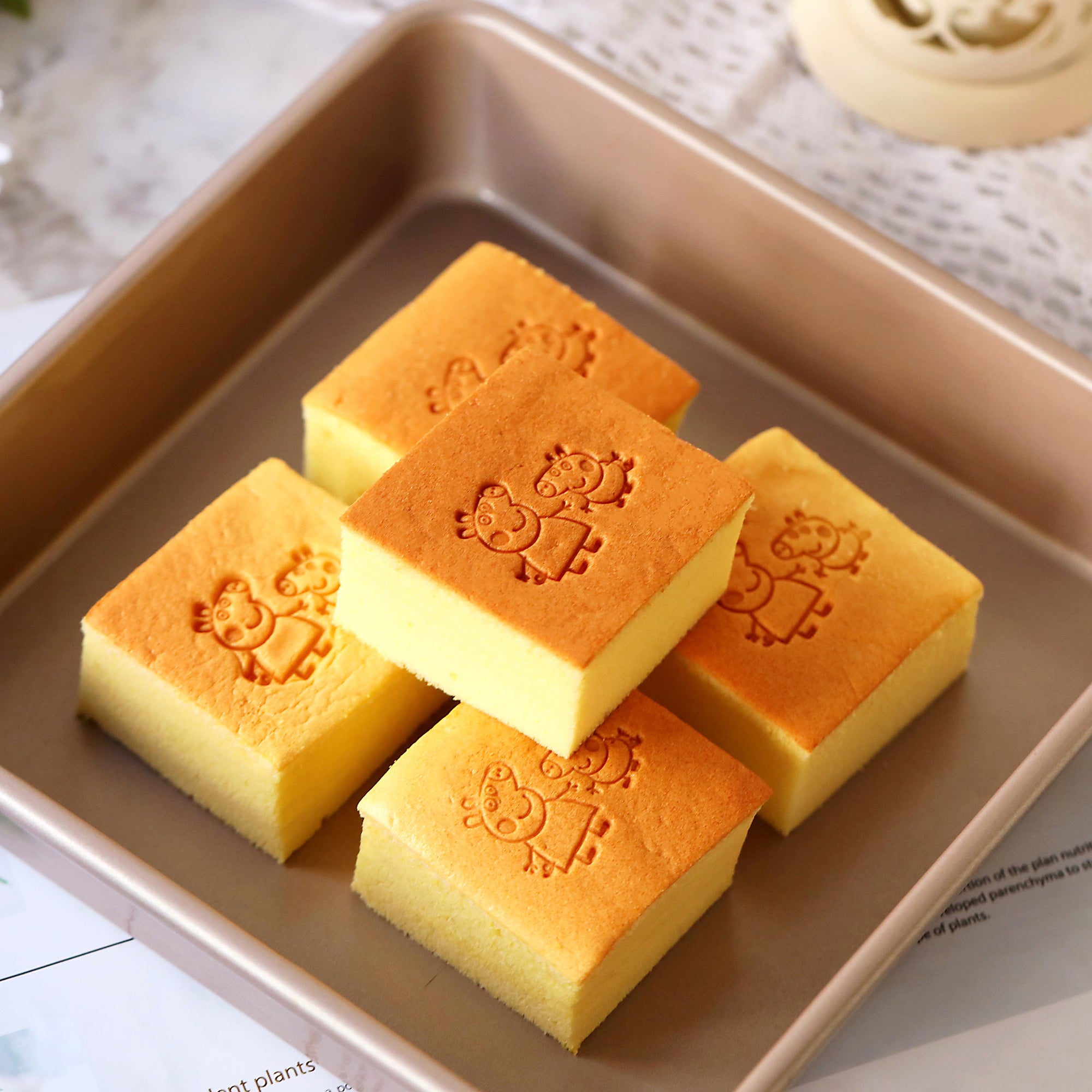 CHEFMADE Square Cake Pan 24cm (WK9040)
