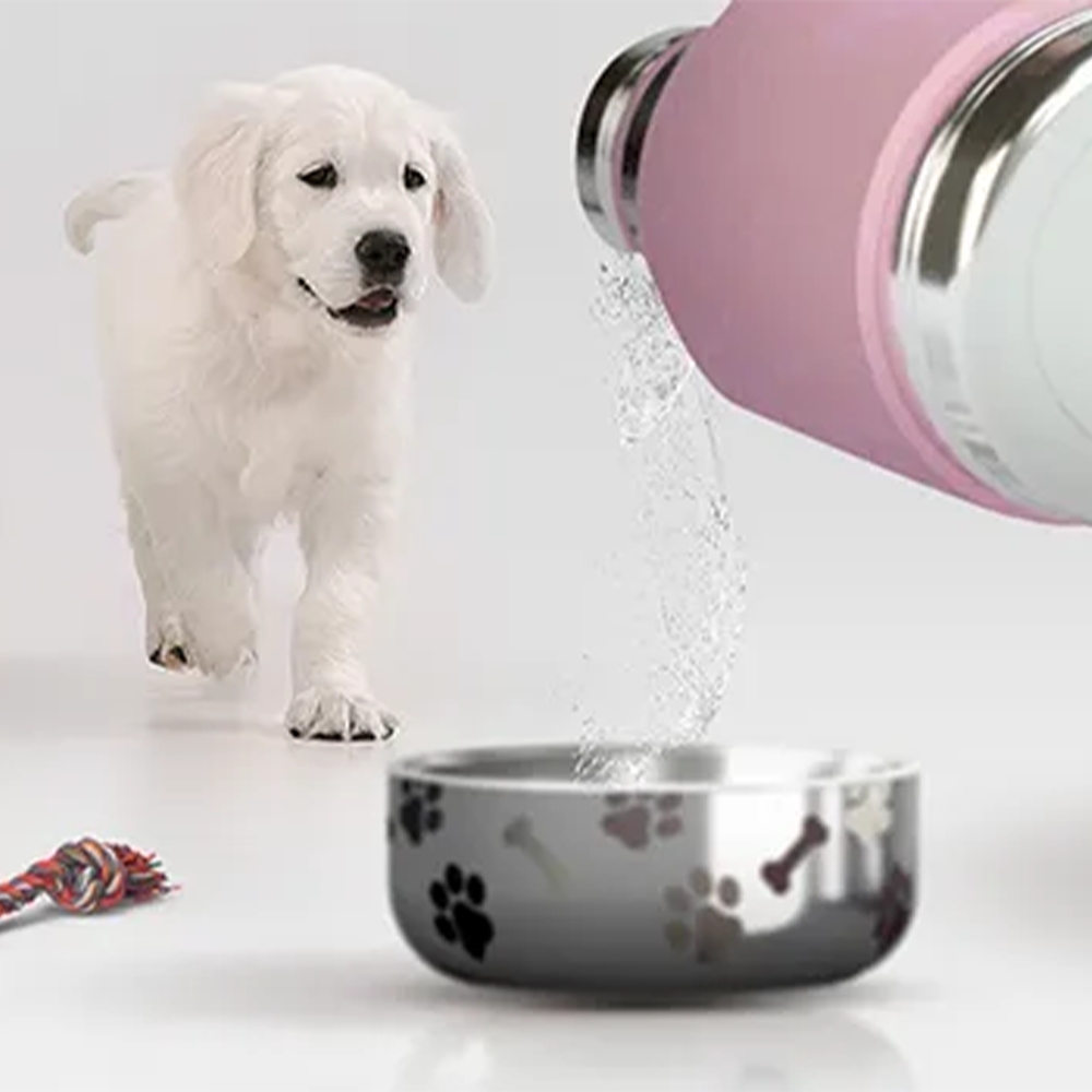 Asobu Stainless Steel Dog Bowl Bottle 975ml - Pink