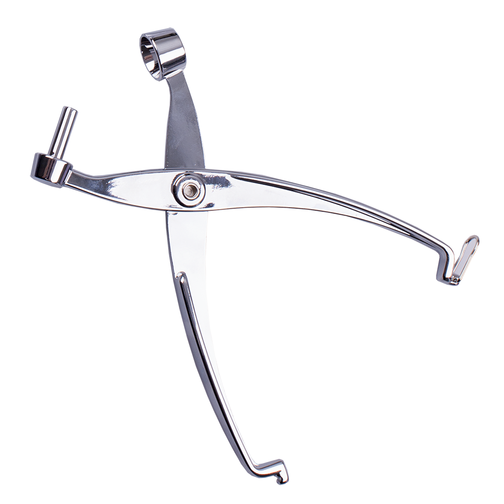 Appetito Cherry & Olive Pitter (Alloy)