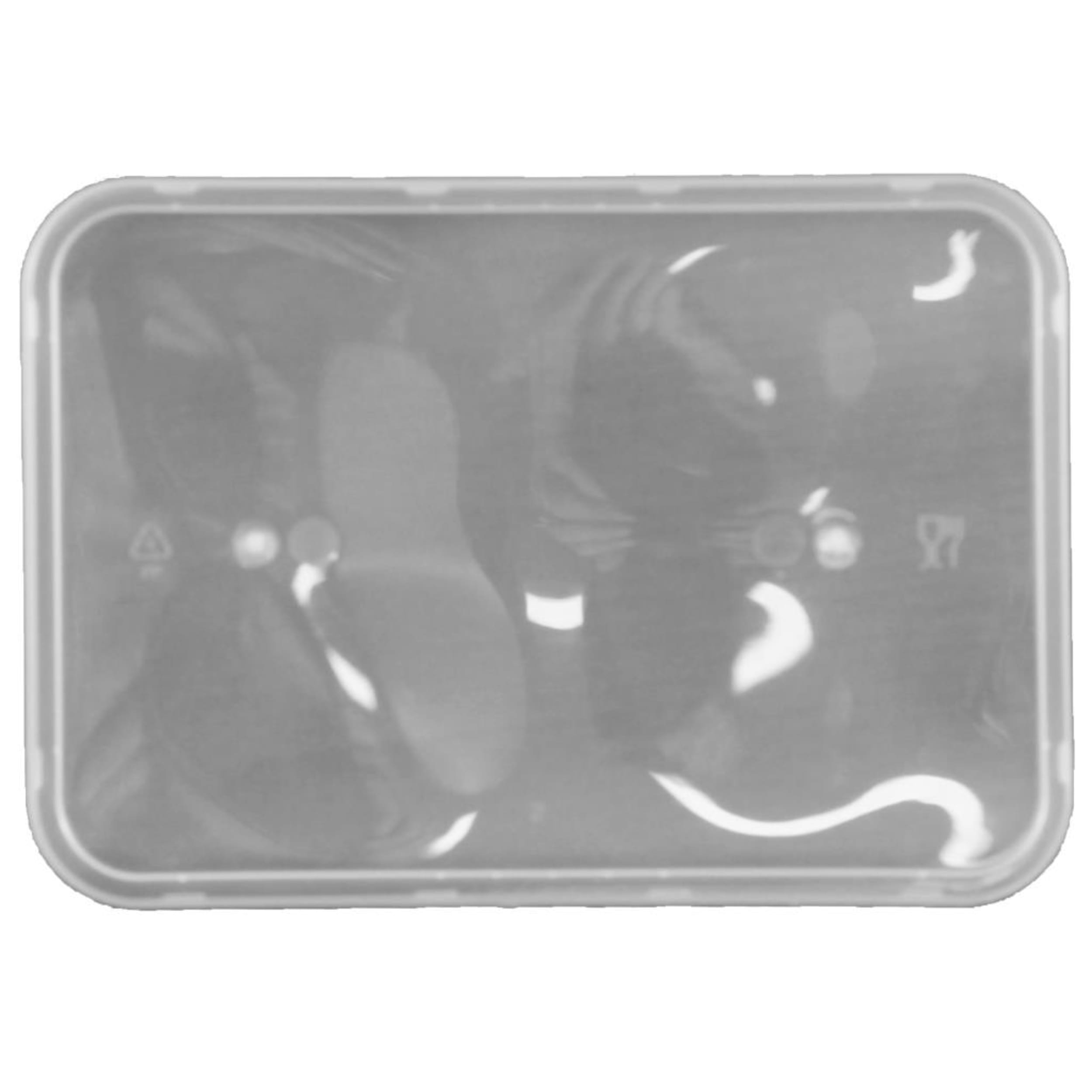 Catering Collection Lid Rect. Flat Plastic PP Clear