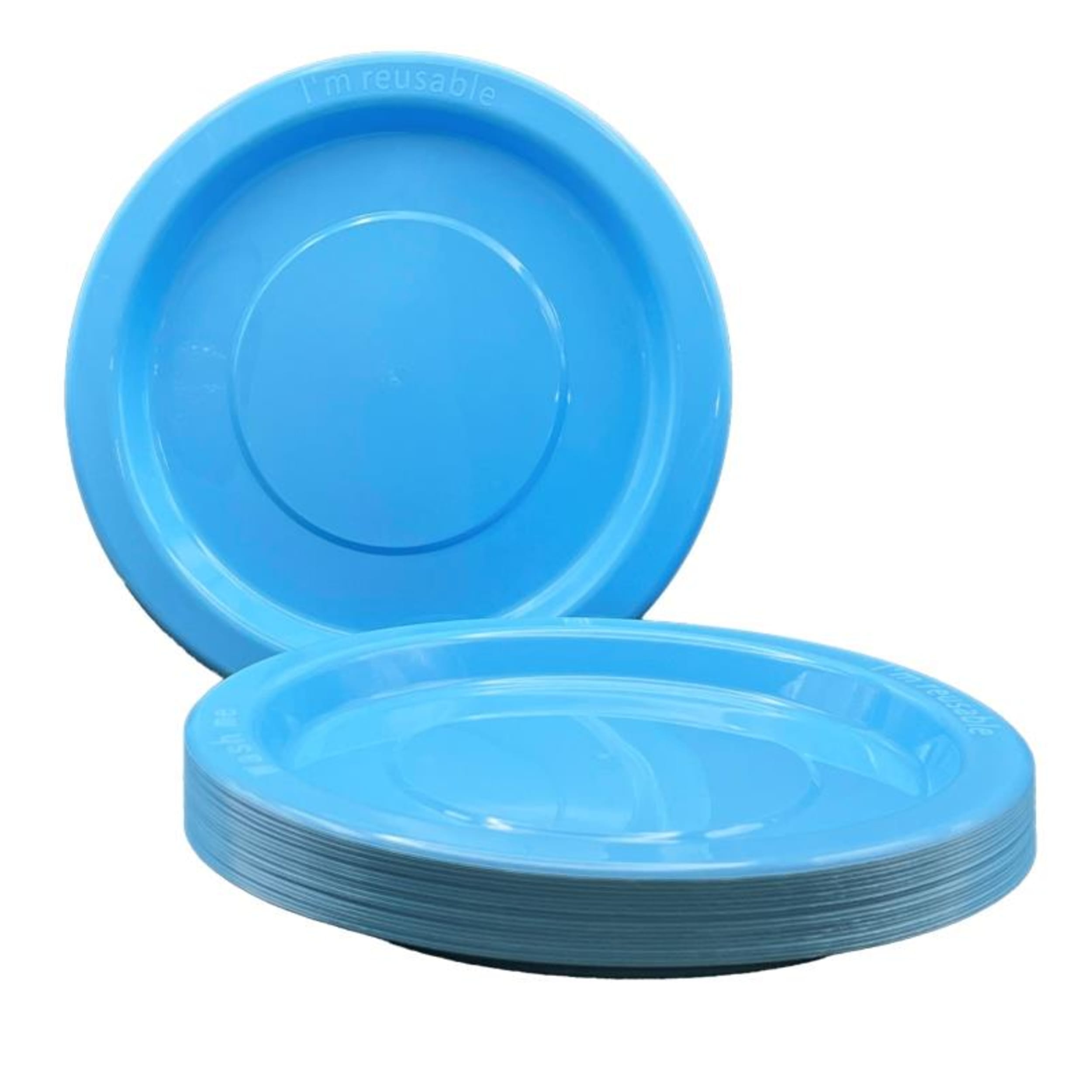 Occasions Light Blue Dinner Plate (20 Pack)