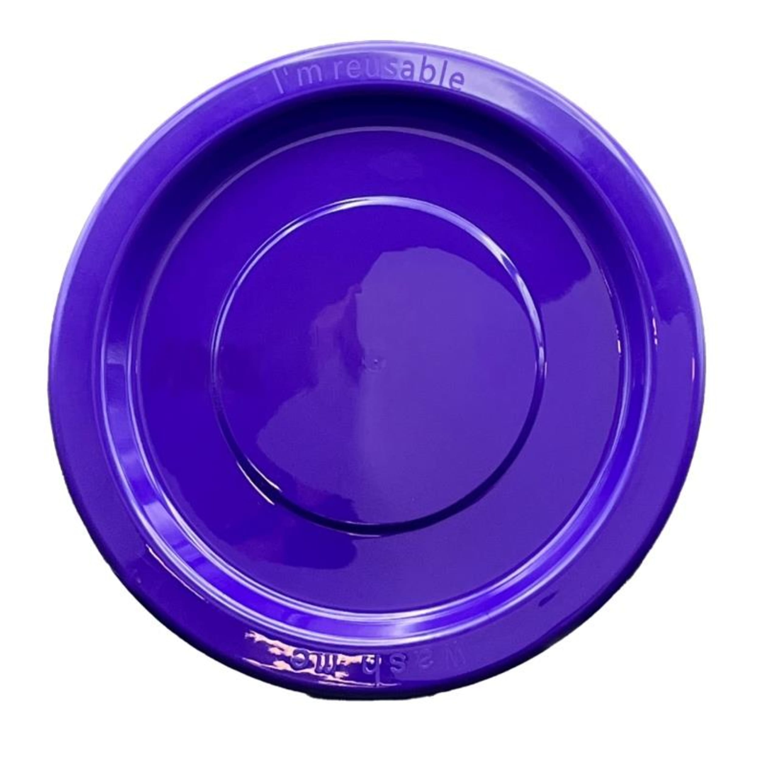 Occasions Purple Dinner Plate (20 Pack)