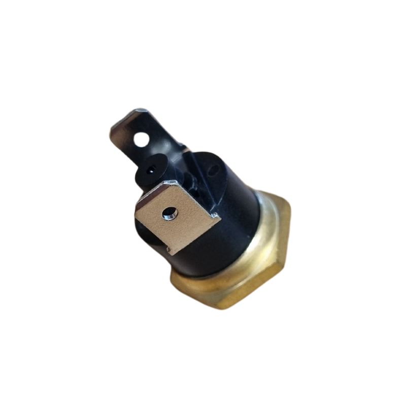 Astoria Contact Thermostat with Manual Reset
