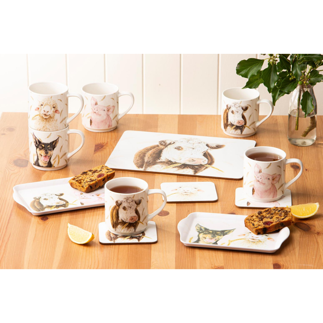 Ashdene Farmyard Faces Assorted 4pk Placemat