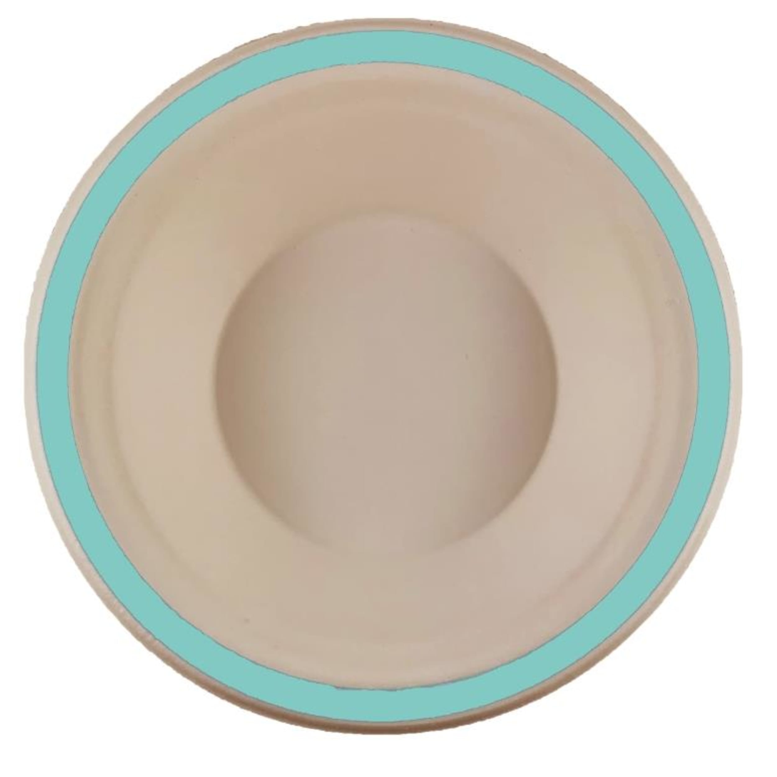Eco Collection Sugarcane Bowls 160mm Mint Green (10 Pack)