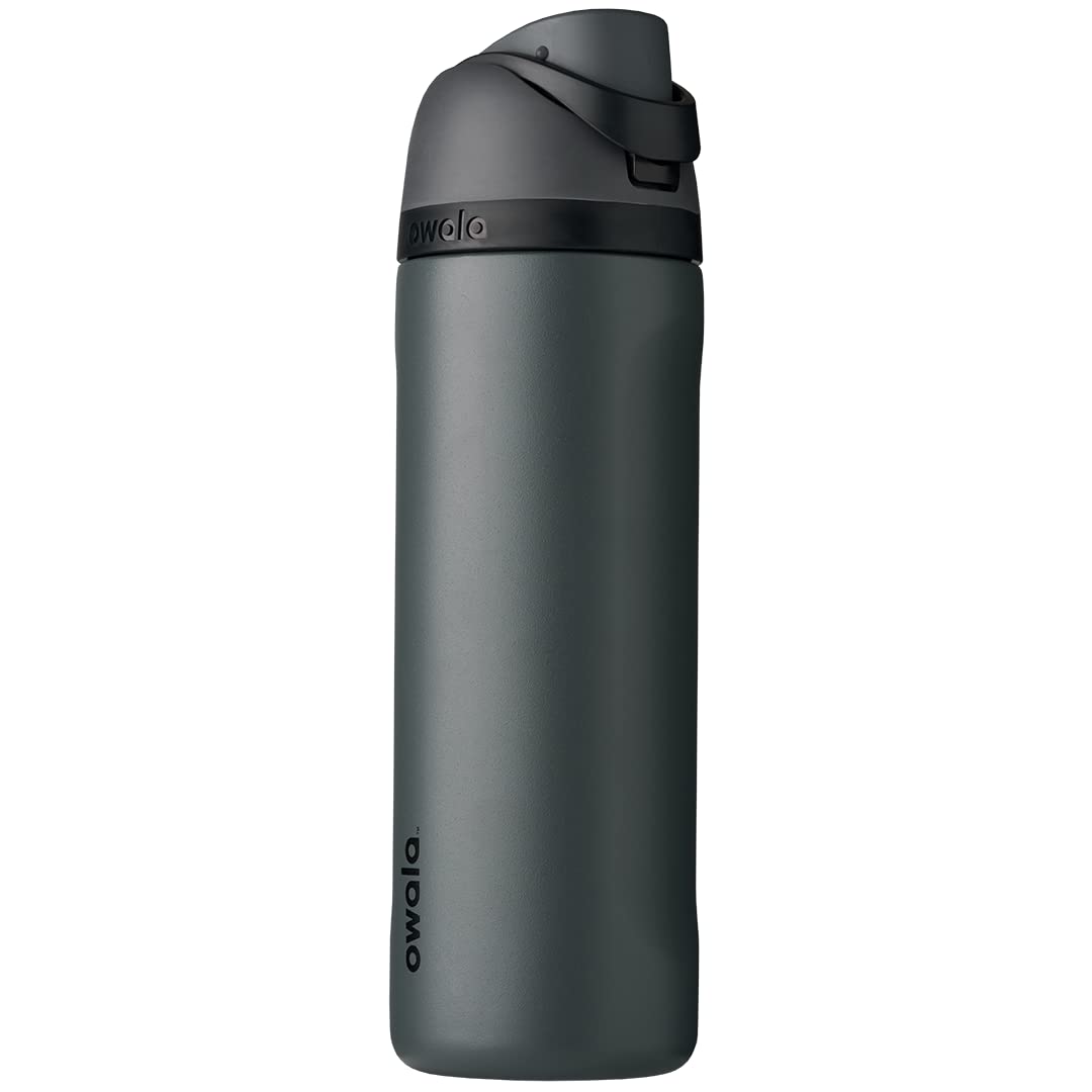 Owala FreeSip Bottle 24oz - Grayt