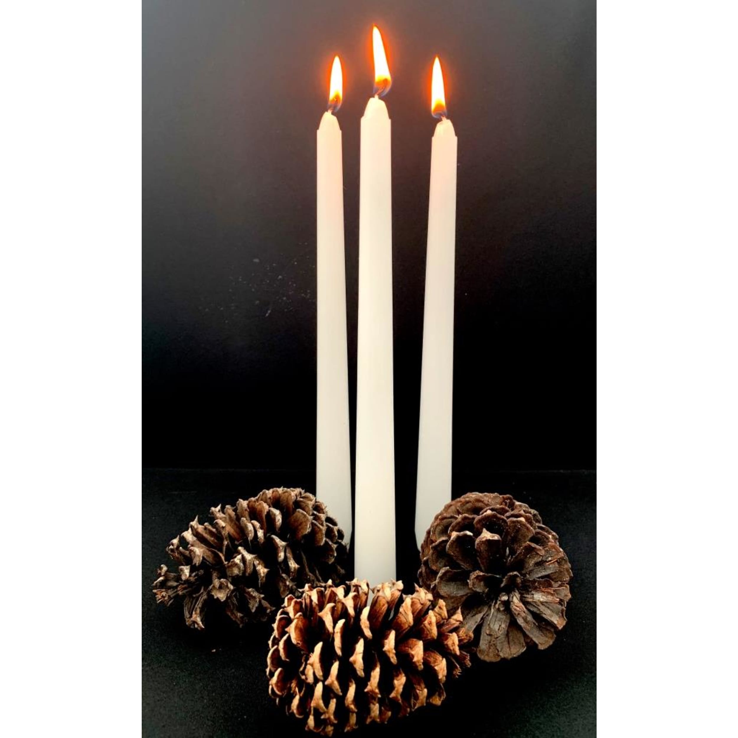 Lume Taper Dinner Candles White 250x20mm (50 Pack)