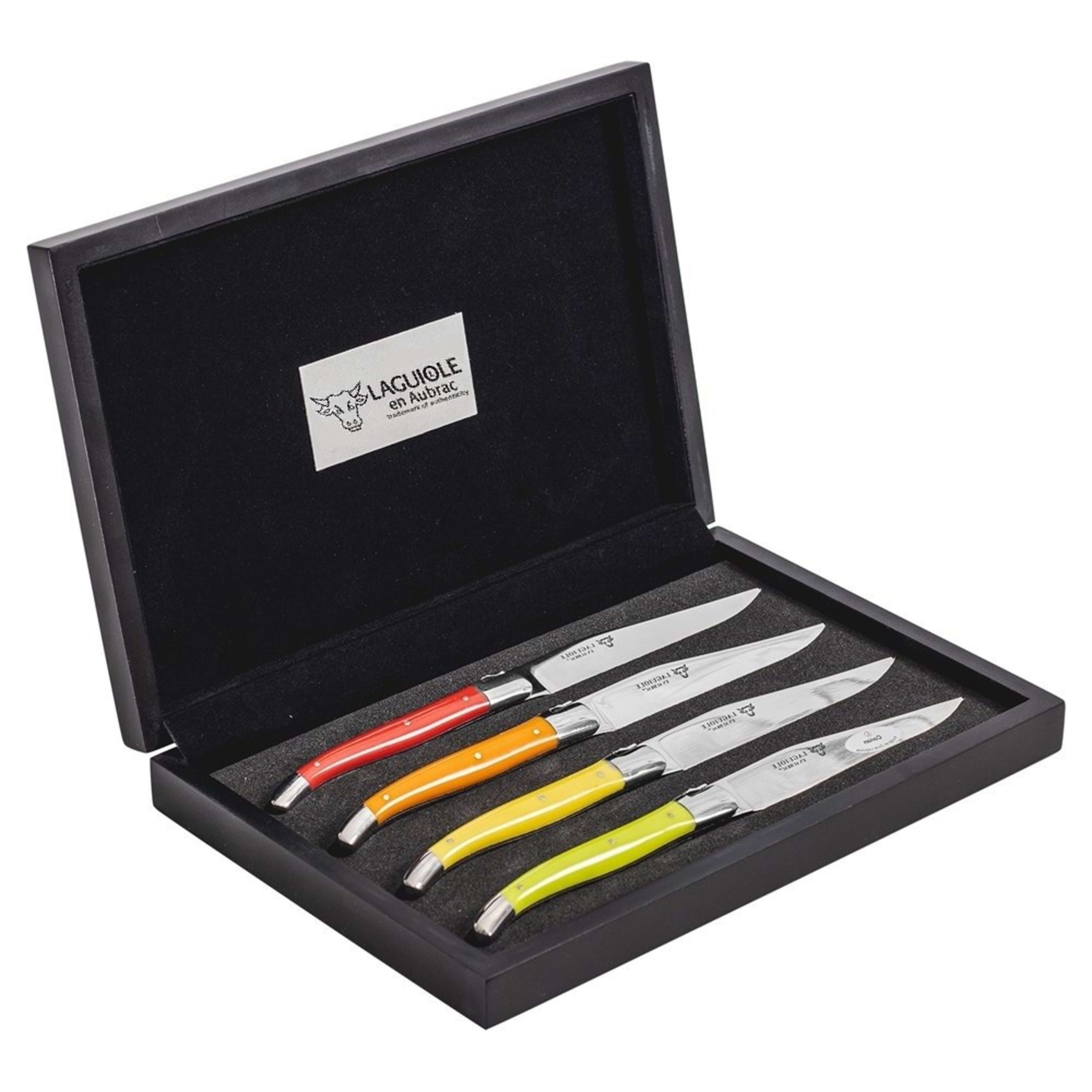 Laguiole en Aubrac 4 Piece Colour Steak Knife Set - Mixed Colours