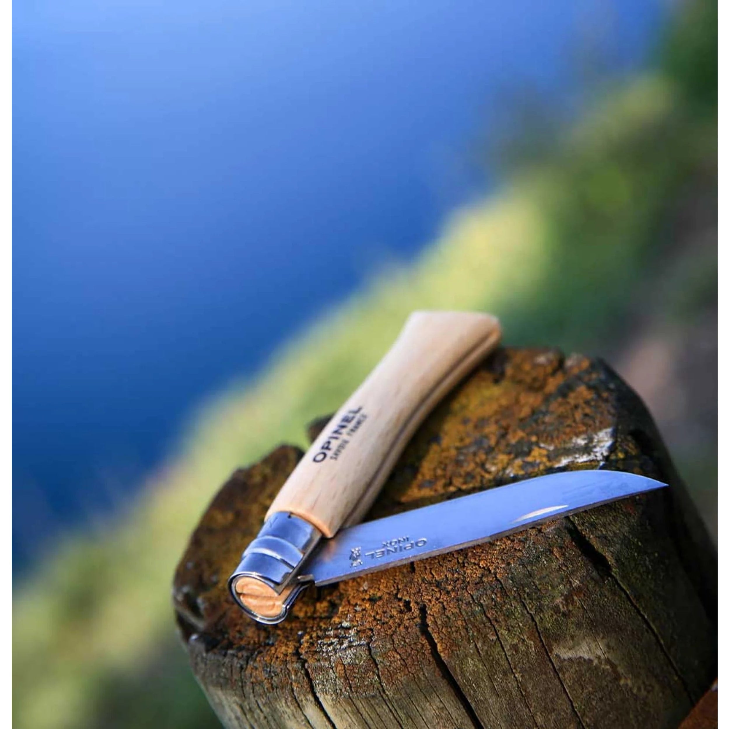 Opinel No.10 Stainless Steel Folding Knife Beech