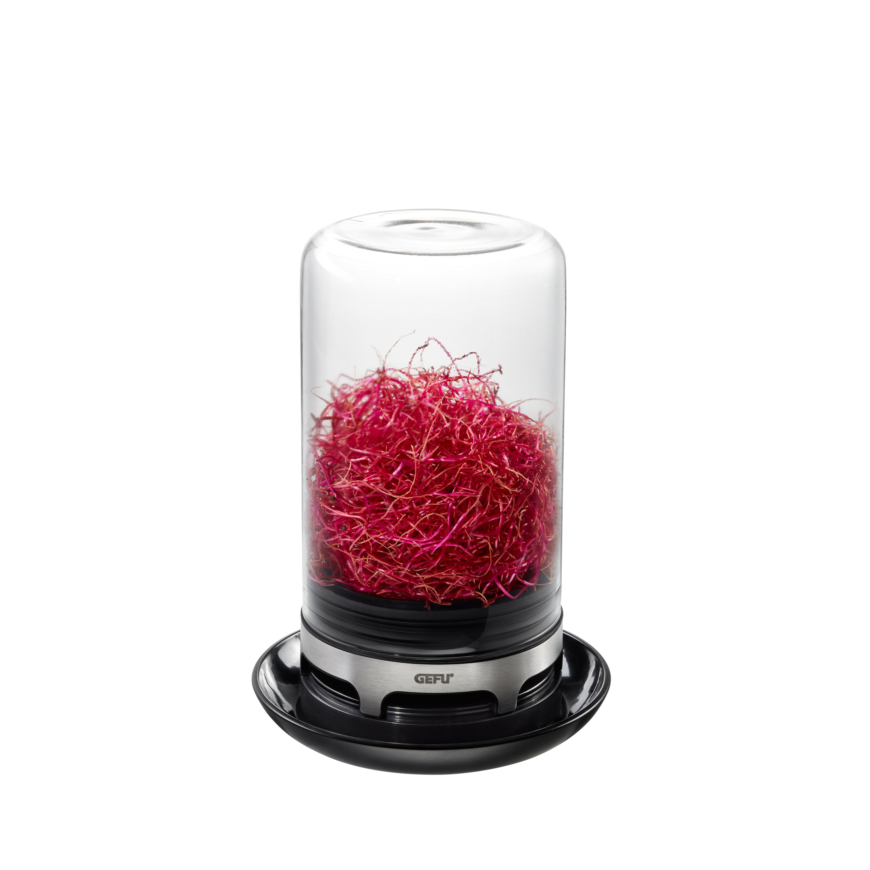 GEFU Bivita Sprouting Jar
