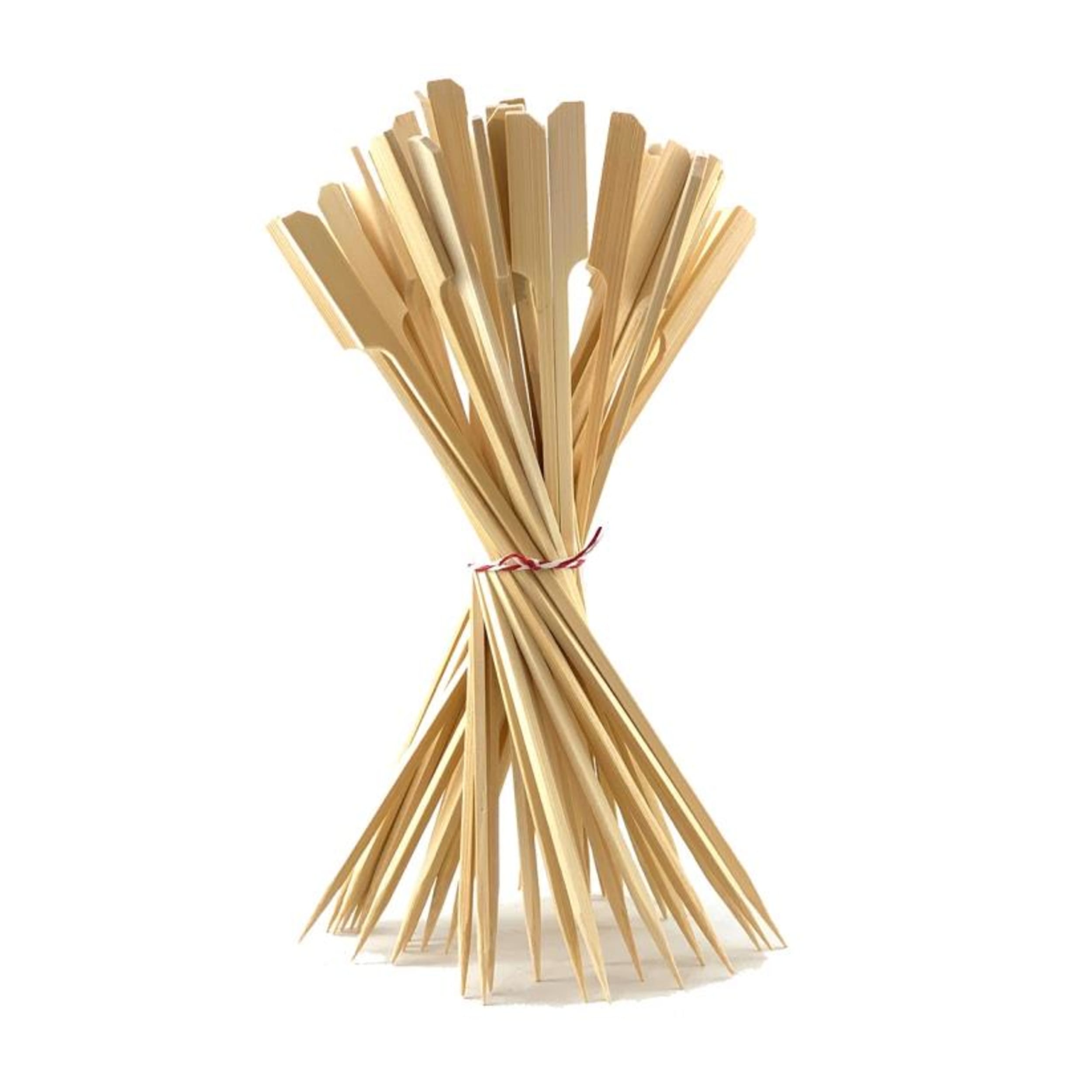 Eco Collection Bamboo Paddle Skewer 9cm x 2.75mm Natural (250 Pack)
