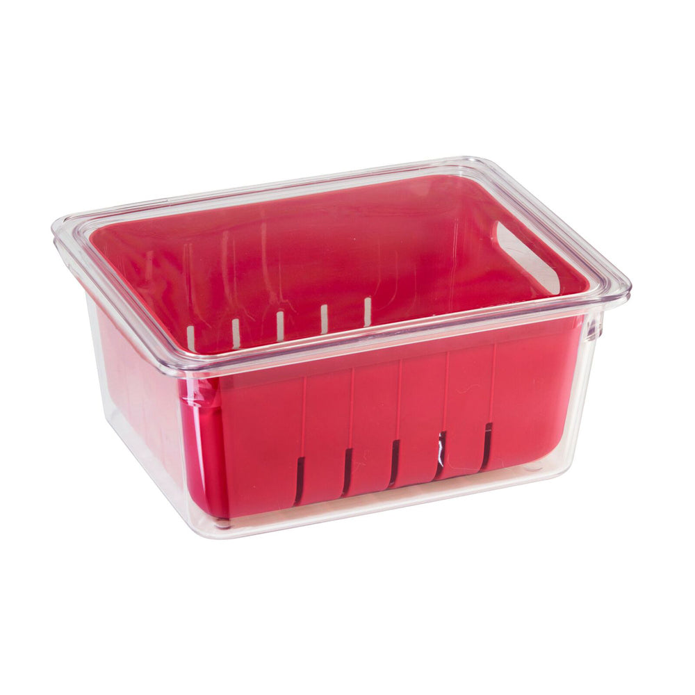 Oggi Store Fresh Fruit & Berry Bin