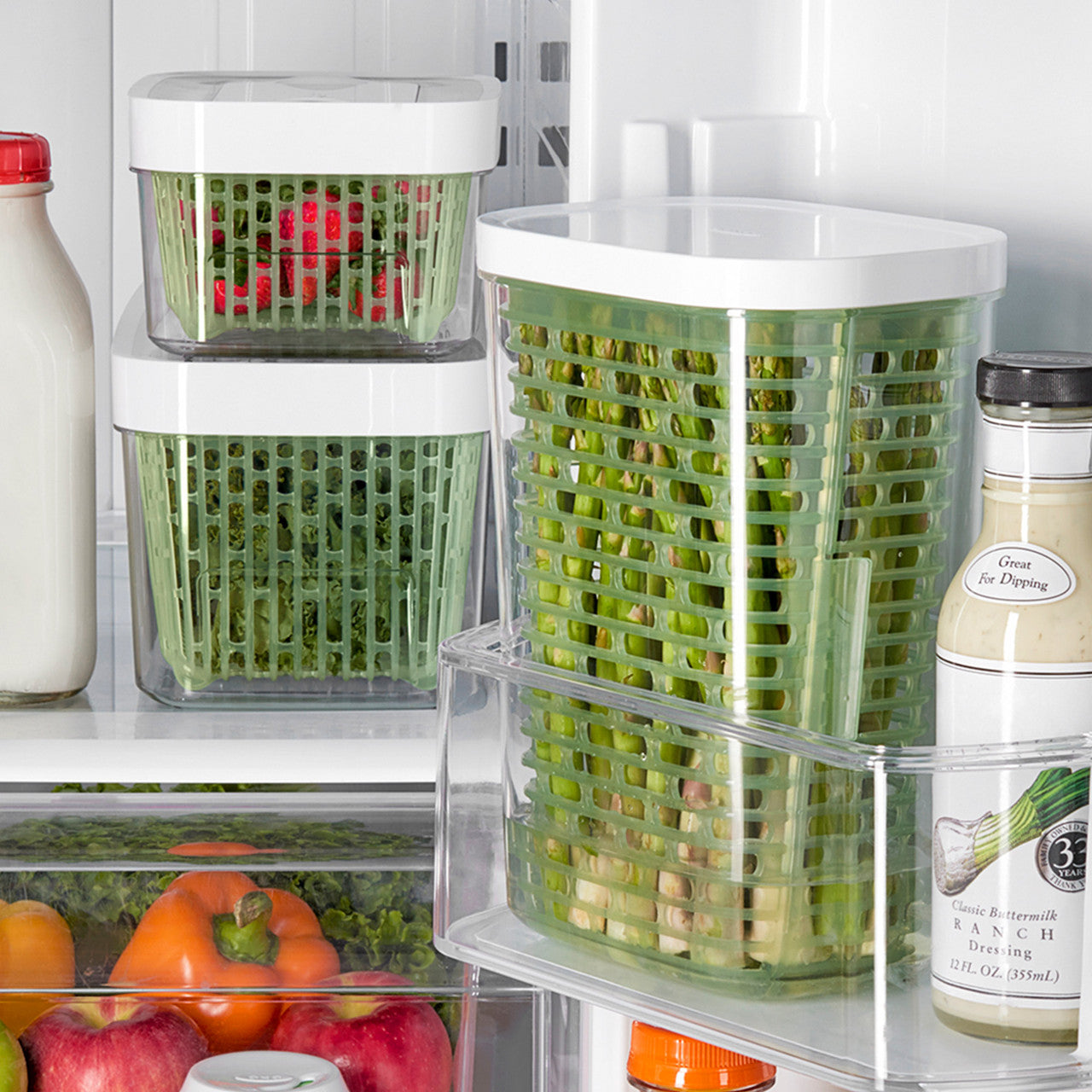 OXO Good Grips Greensaver Herb Keeper - Large