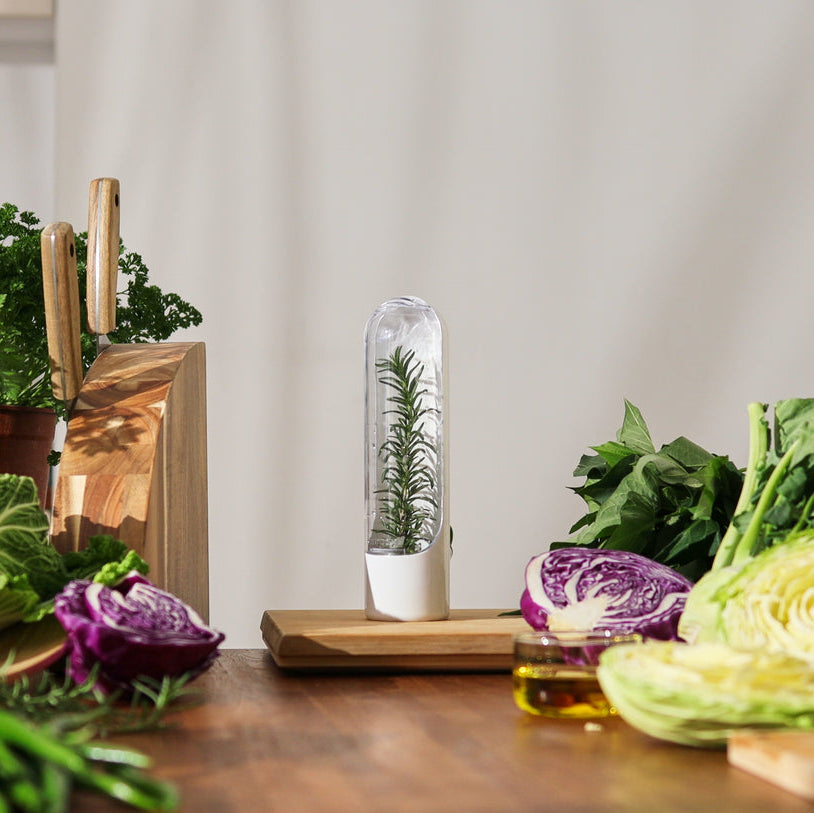 Prepara Herb Savor Pod 2.0