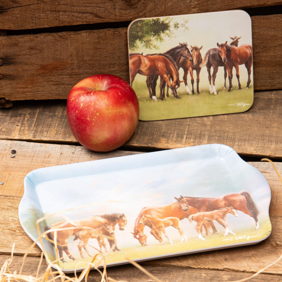 Ashdene Mares & Foals Assorted 6pk Coaster