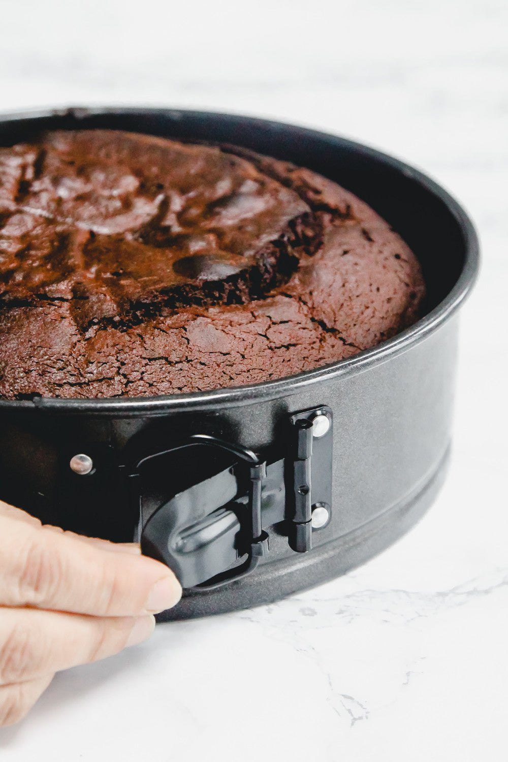 MasterCraft Non Stick Springform Loose Base Round Cake Pan 20cm