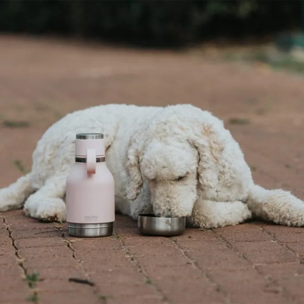 Asobu Stainless Steel Dog Bowl Bottle 975ml - Pink