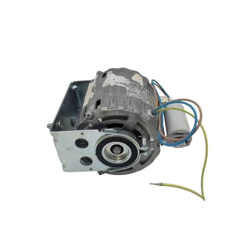 Flat Shaft Rotary Pump Motor