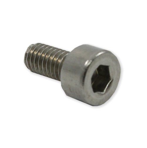 Stainless Steel Screw M4x8
