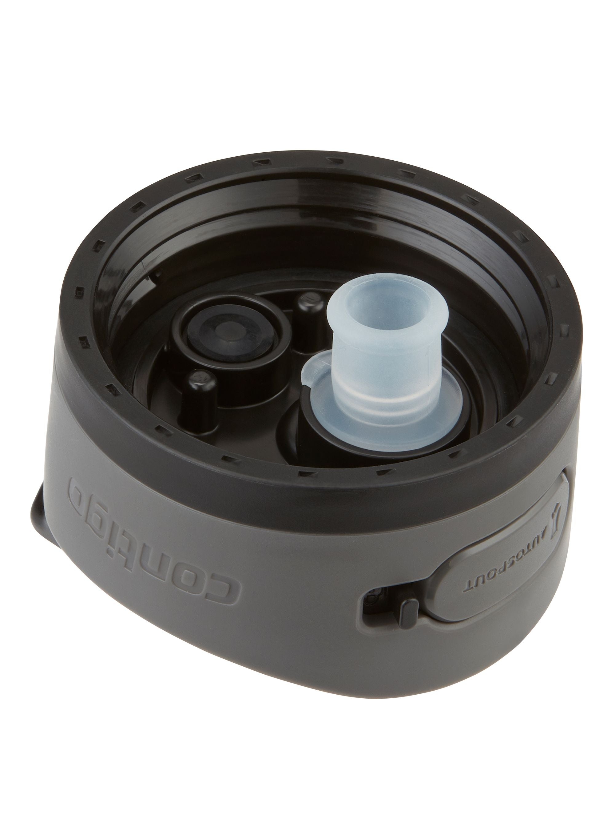 Contigo Ashland 2.0 Autospout Drink Bottle 946ml Licorice