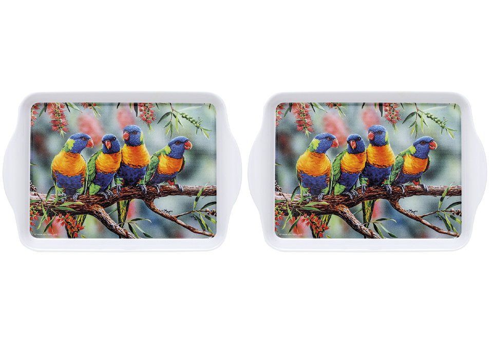 Ashdene Aus Bird & Flora Lorikeet & Bottlebrush 2pk Scatter Tray
