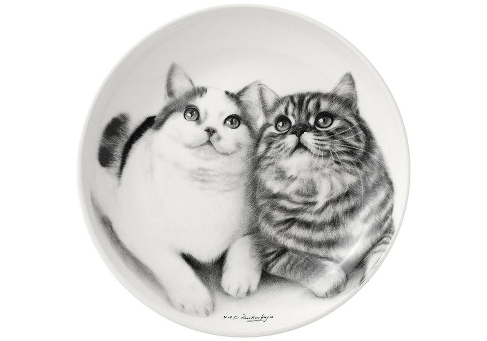 Ashdene Feline Friends Fixated Friends Trinket Dish