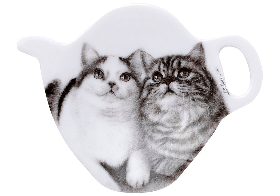 Ashdene Feline Friends Fixated Friends Tea Bag Holder