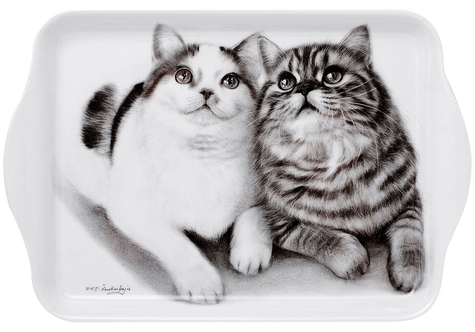 Ashdene Feline Friends Fixated Friends Scatter Tray