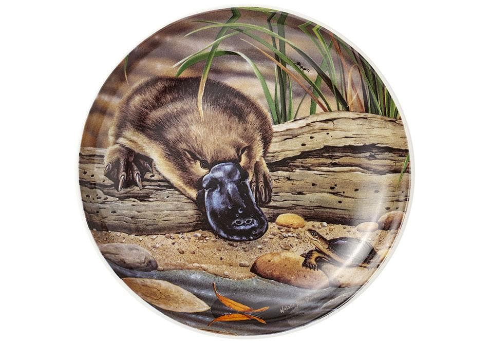 Ashdene Fauna of Aus Platypus & Turtle Trinket Dish