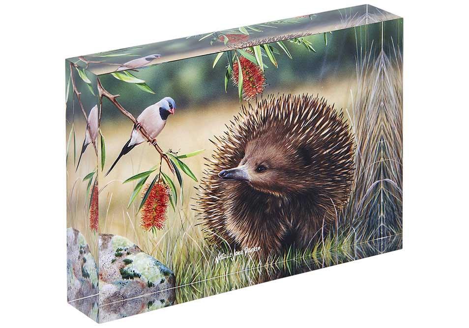 Ashdene Fauna of Aus Echidna & Finch Mini Gallery