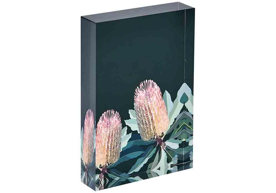 Ashdene Native Grace Banksia Mini Gallery