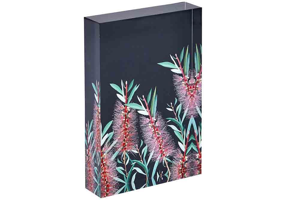 Ashdene Native Grace Bottlebrush Mini Gallery