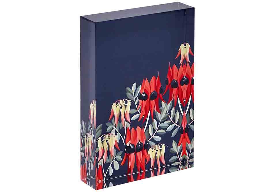 Ashdene Native Grace Sturts Desert Pea Mini Gallery