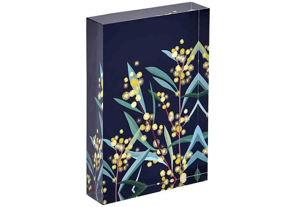 Ashdene Native Grace Wattle Mini Gallery
