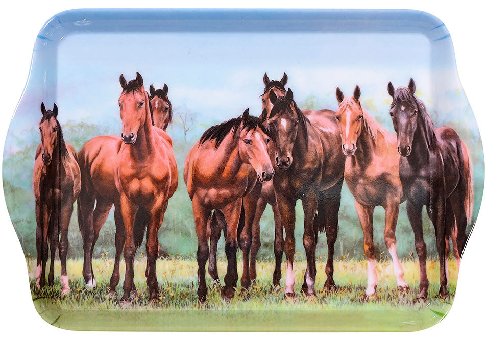 Ashdene Beauty of Horses In the Pasture Scatter Tray