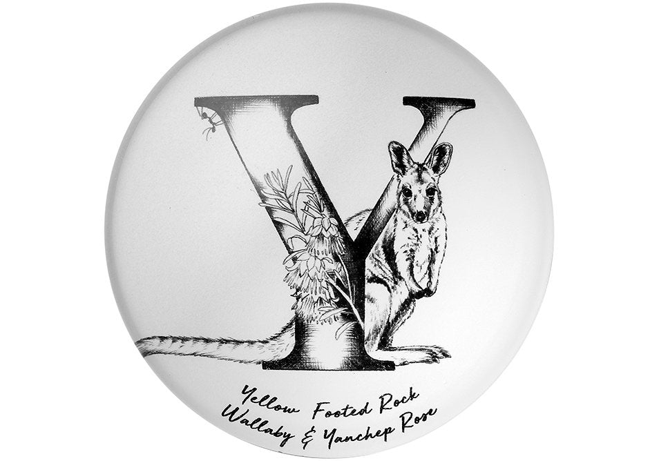 Ashdene Letters of Aus Y Magnet