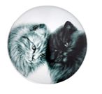 Ashdene Feline Friends Bonding Buddies Magnet