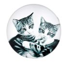 Ashdene Feline Friends Cuddling Kittens Magnet