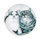 Ashdene Feline Friends Fixated Friends Magnet