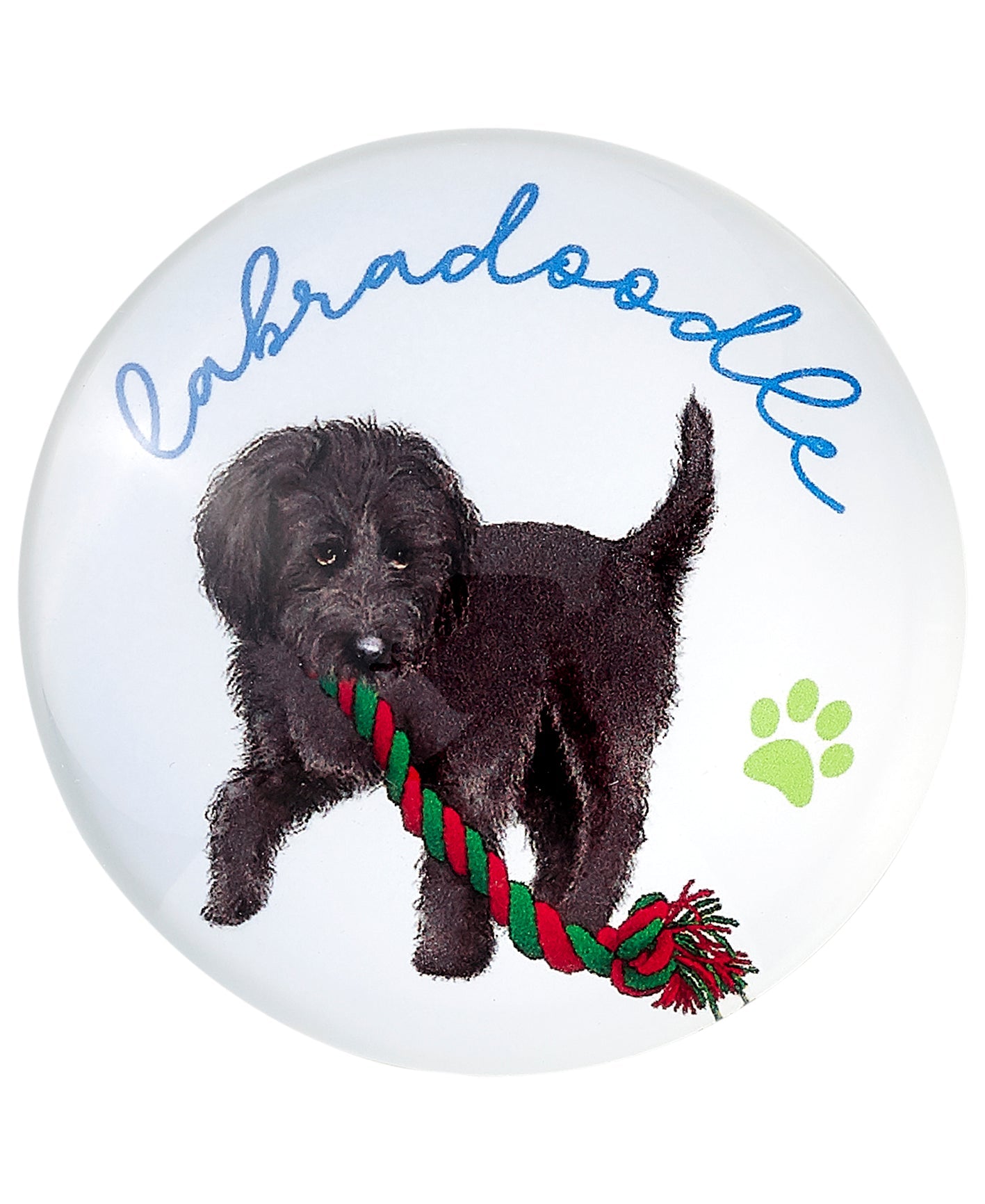 Ashdene Oodles of Oodles Labradoodle 2pk Magnet