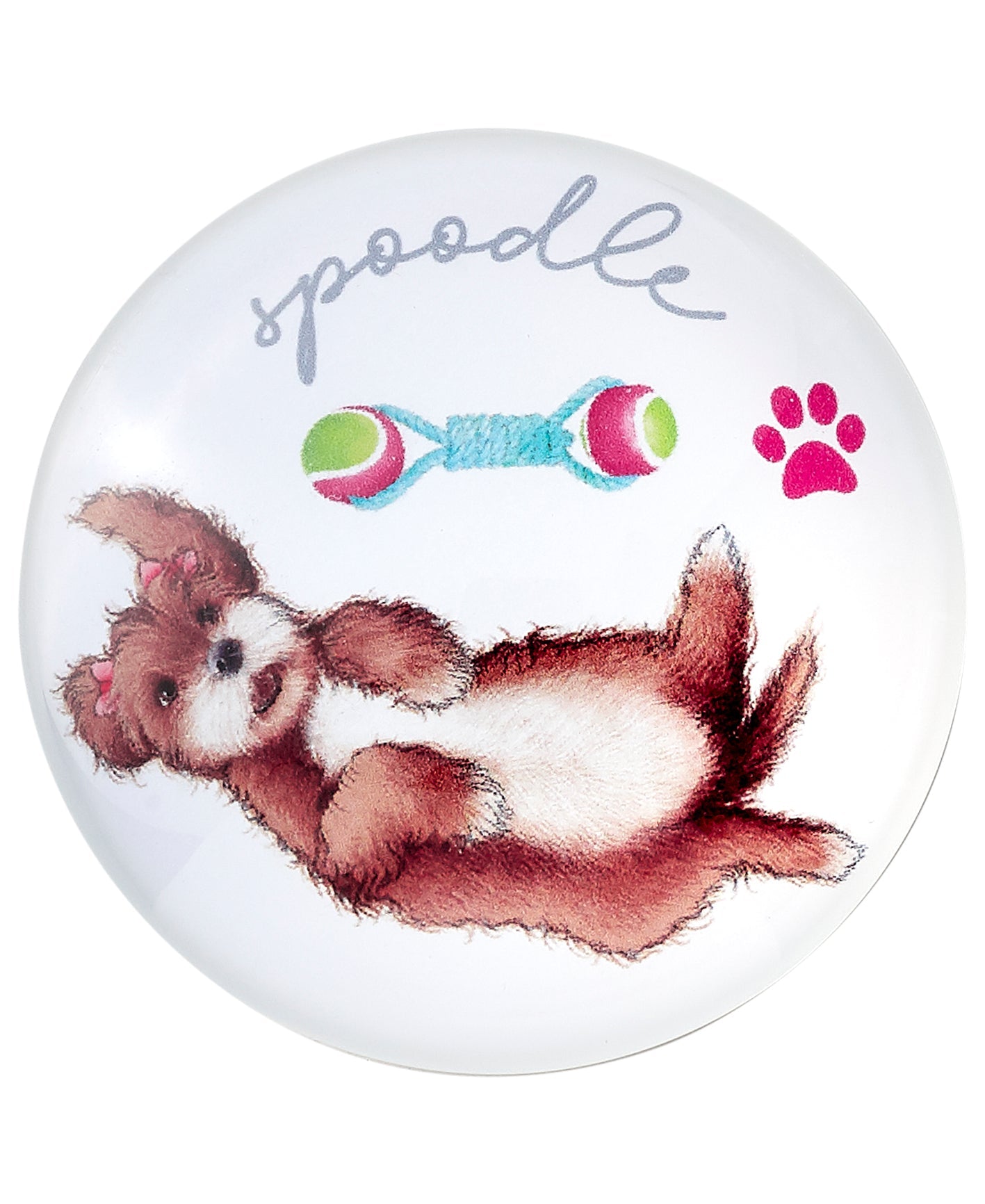 Ashdene Oodles of Oodles Spoodle 2pk Magnet