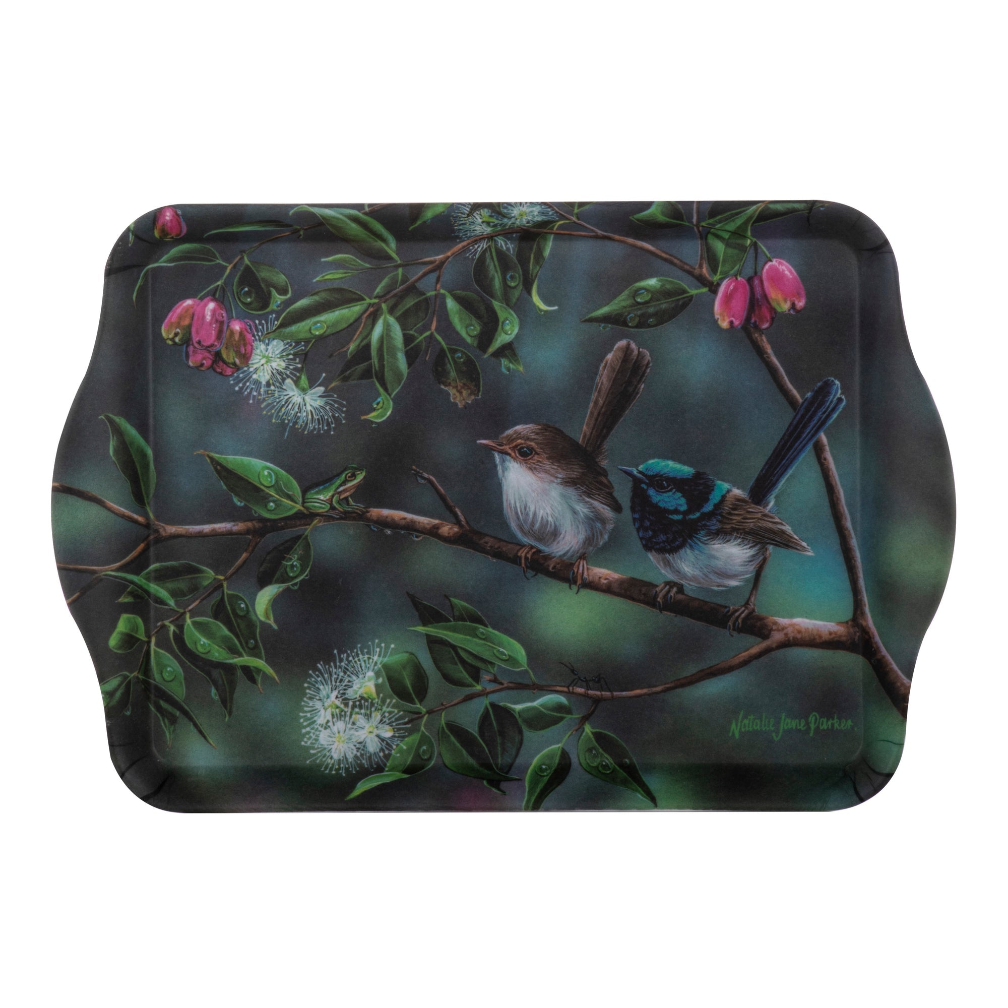 Ashdene Australian Wren Pleasant Company 2pk Scatter Tray