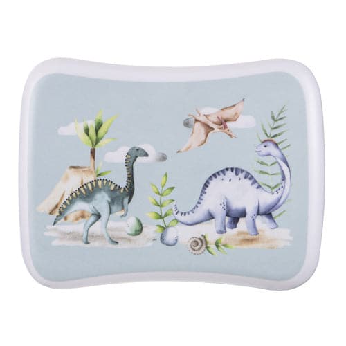 Ashdene Dino Land Lunch Box