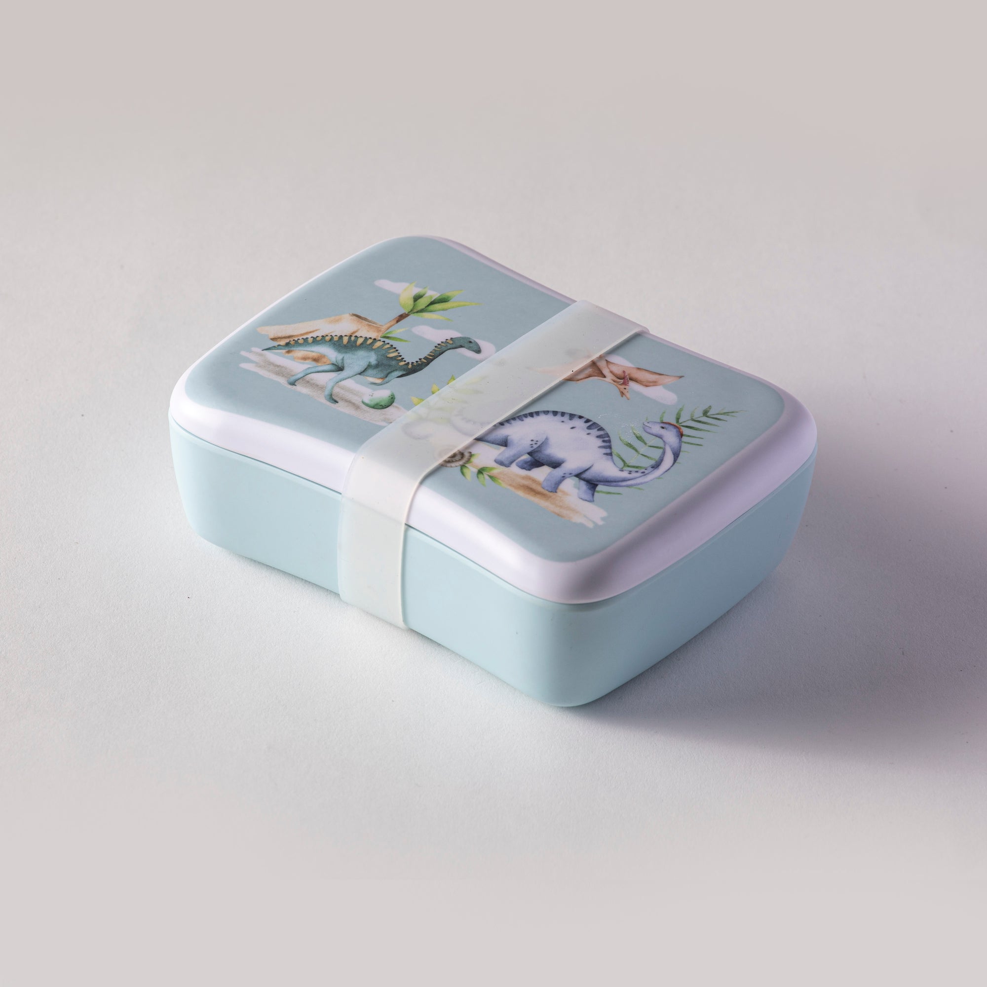 Ashdene Dino Land Lunch Box